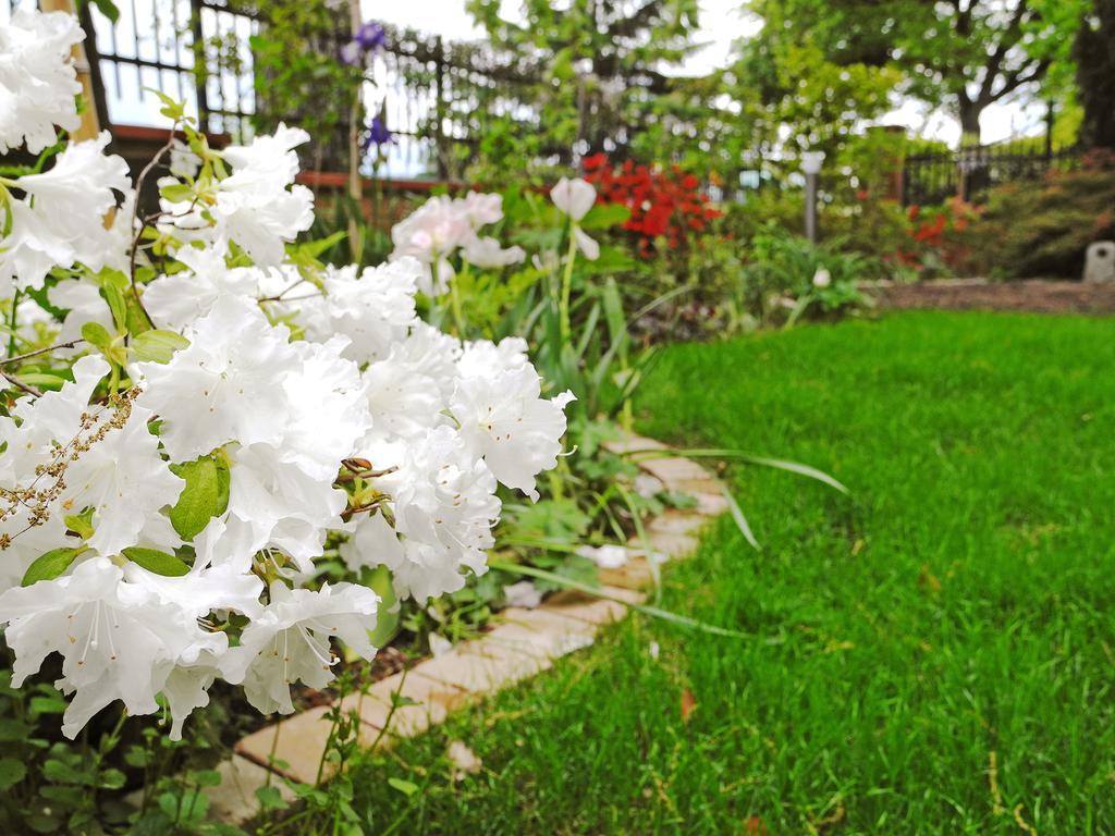 B&B Dimora Morelli Gubbio Bagian luar foto